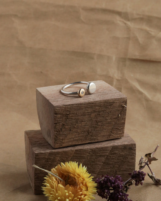 Dual Pebble Ring