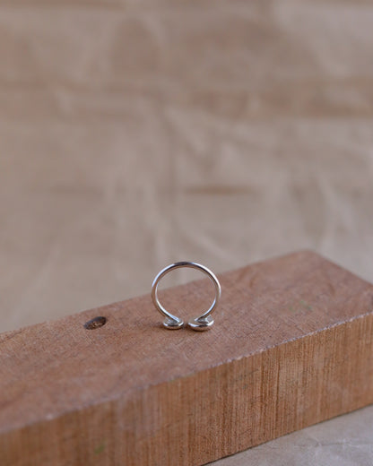 Dual Pebble Ring